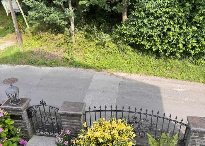 Helle In Gruener Lage - Naehe Zentrum