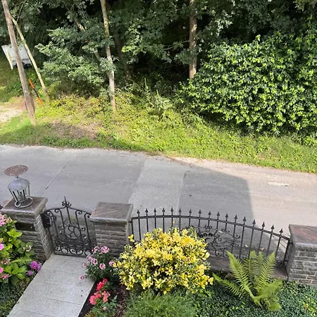 Helle In Grüner Lage - Nähe Zentrum